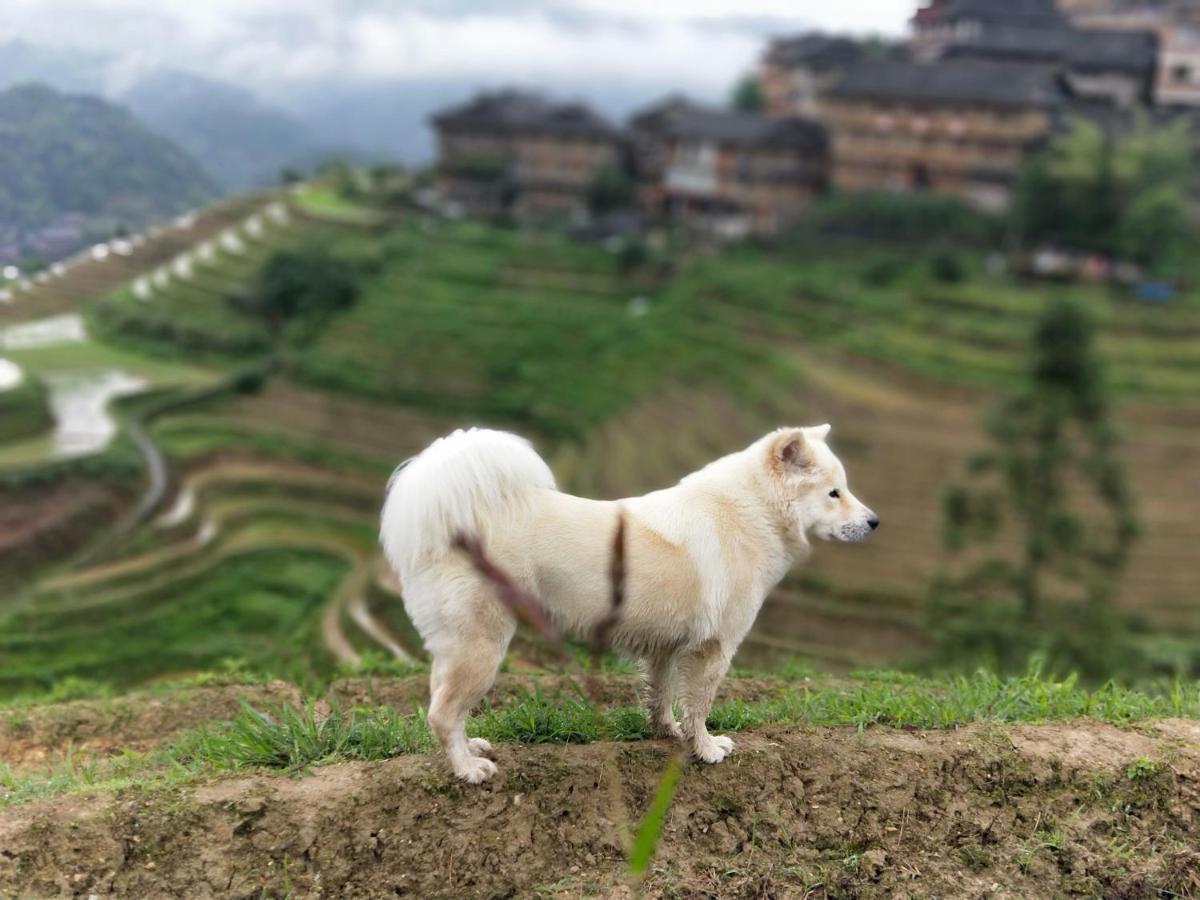 Dragon'S Den Hostel Longsheng Bagian luar foto